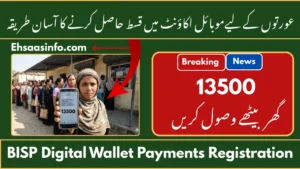 BISP Digital Wallet Payments
