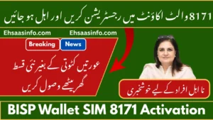 BISP Wallet SIM 8171 Activation