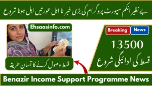 Benazir Income Support Programme