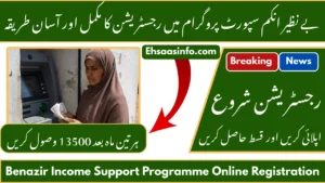 Benazir Income Support Programme Online Registration