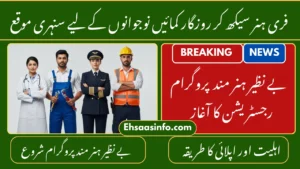 benazir hunarmand program