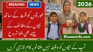 benazir taleemi wazaif check online