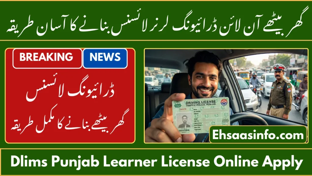 DLIMS Punjab Learner License Online Apply Step-By-Step Guide 1 dlims punjab learner license