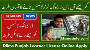 dlims punjab learner license
