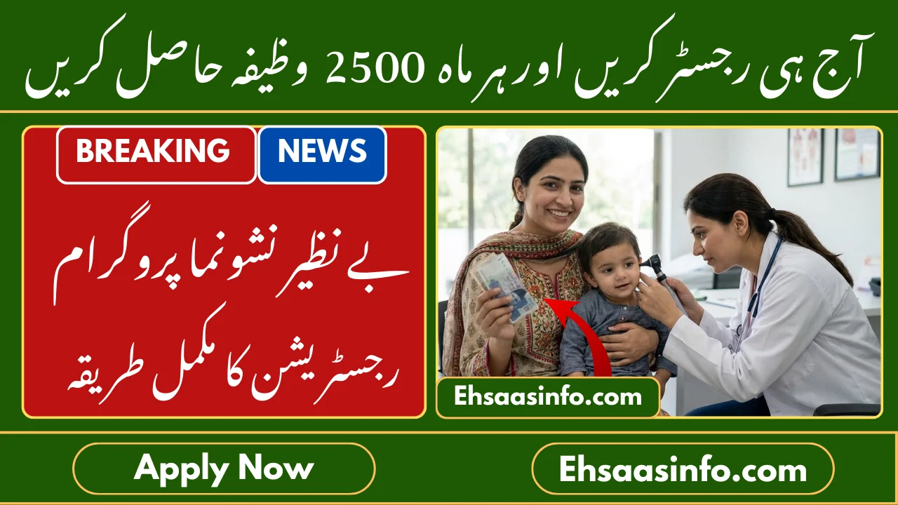 Home 7 BISP Nashonuma Payment Program 2026 Full Details