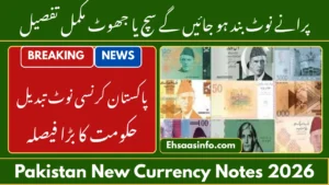 pakistan new currency notes